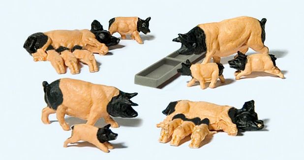 Schweine