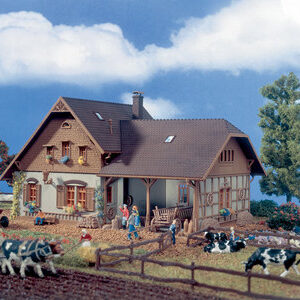 Bauernhaus mit Remise